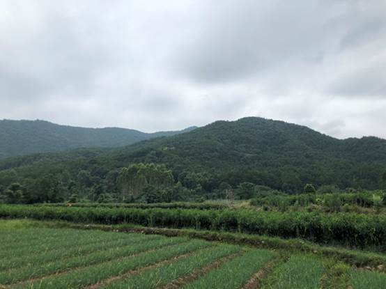 國(guó)電投靈川分散式規劃項目現場考察