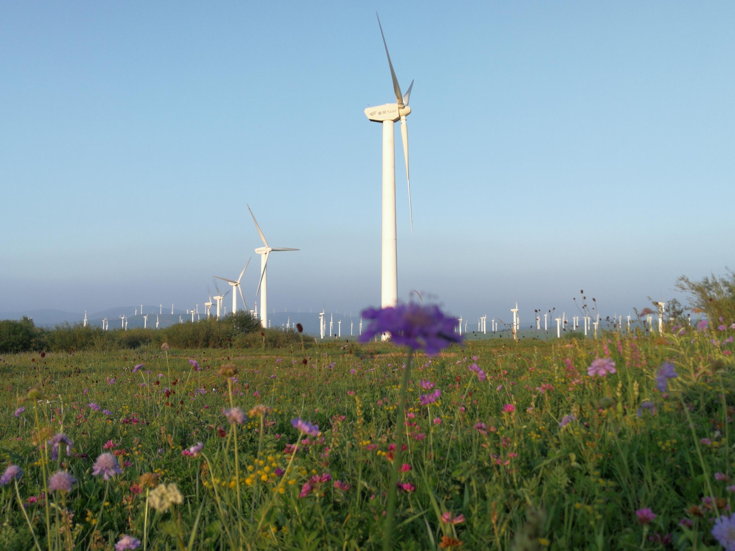 【計鵬視角】風電供暖項目收益初算